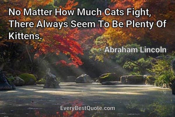 No Matter How Much Cats Fight, There Always Seem To Be Plenty Of Kittens. - Abraham Lincoln