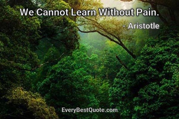 We Cannot Learn Without Pain. - Aristotle