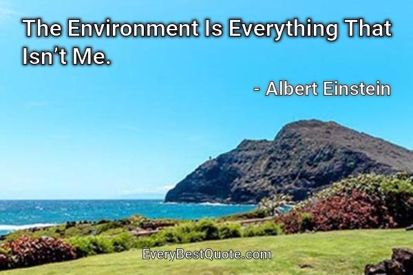 The Environment Is Everything That Isn’t Me. - Albert Einstein