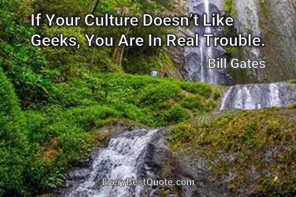 If Your Culture Doesn’t Like Geeks, You Are In Real Trouble. - Bill Gates