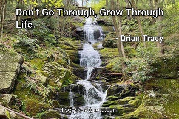 Don’t Go Through, Grow Through Life. - Brian Tracy