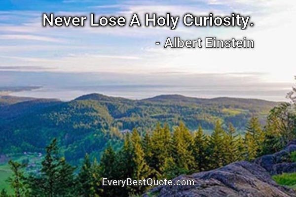 Never Lose A Holy Curiosity. - Albert Einstein