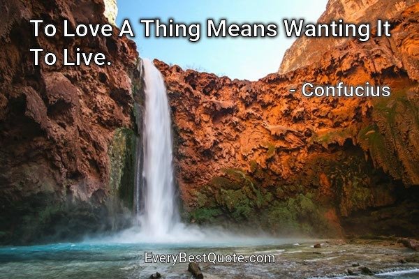 To Love A Thing Means Wanting It To Live. - Confucius