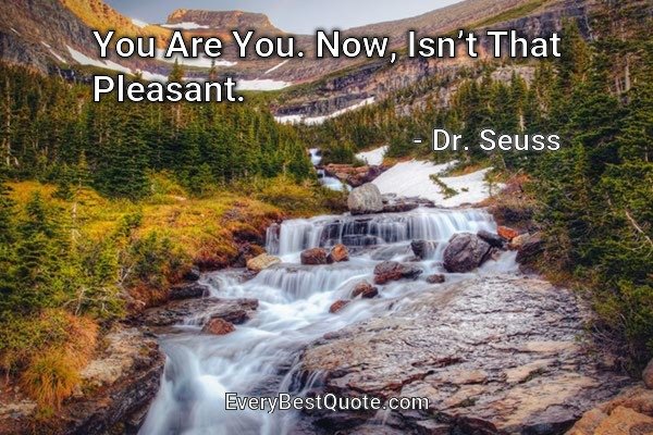 You Are You. Now, Isn’t That Pleasant. - Dr. Seuss