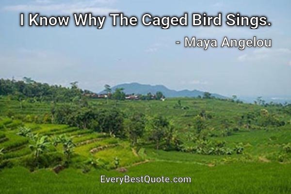 I Know Why The Caged Bird Sings. - Maya Angelou