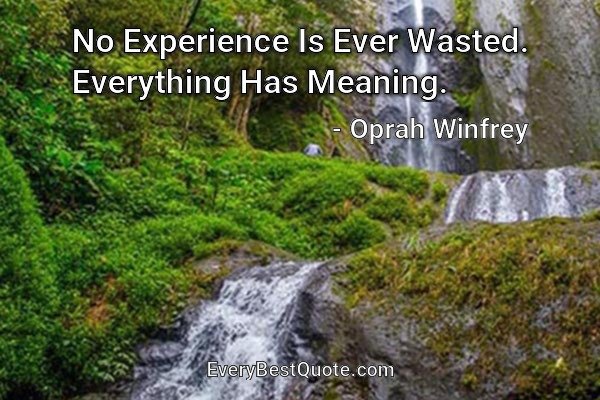 No Experience Is Ever Wasted. Everything Has Meaning. - Oprah Winfrey