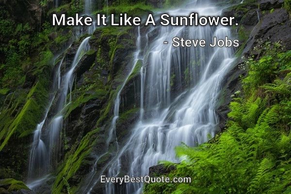 Make It Like A Sunflower. - Steve Jobs