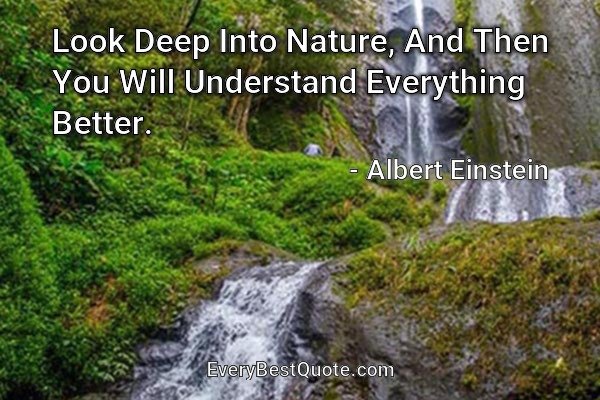 Look Deep Into Nature, And Then You Will Understand Everything Better. - Albert Einstein